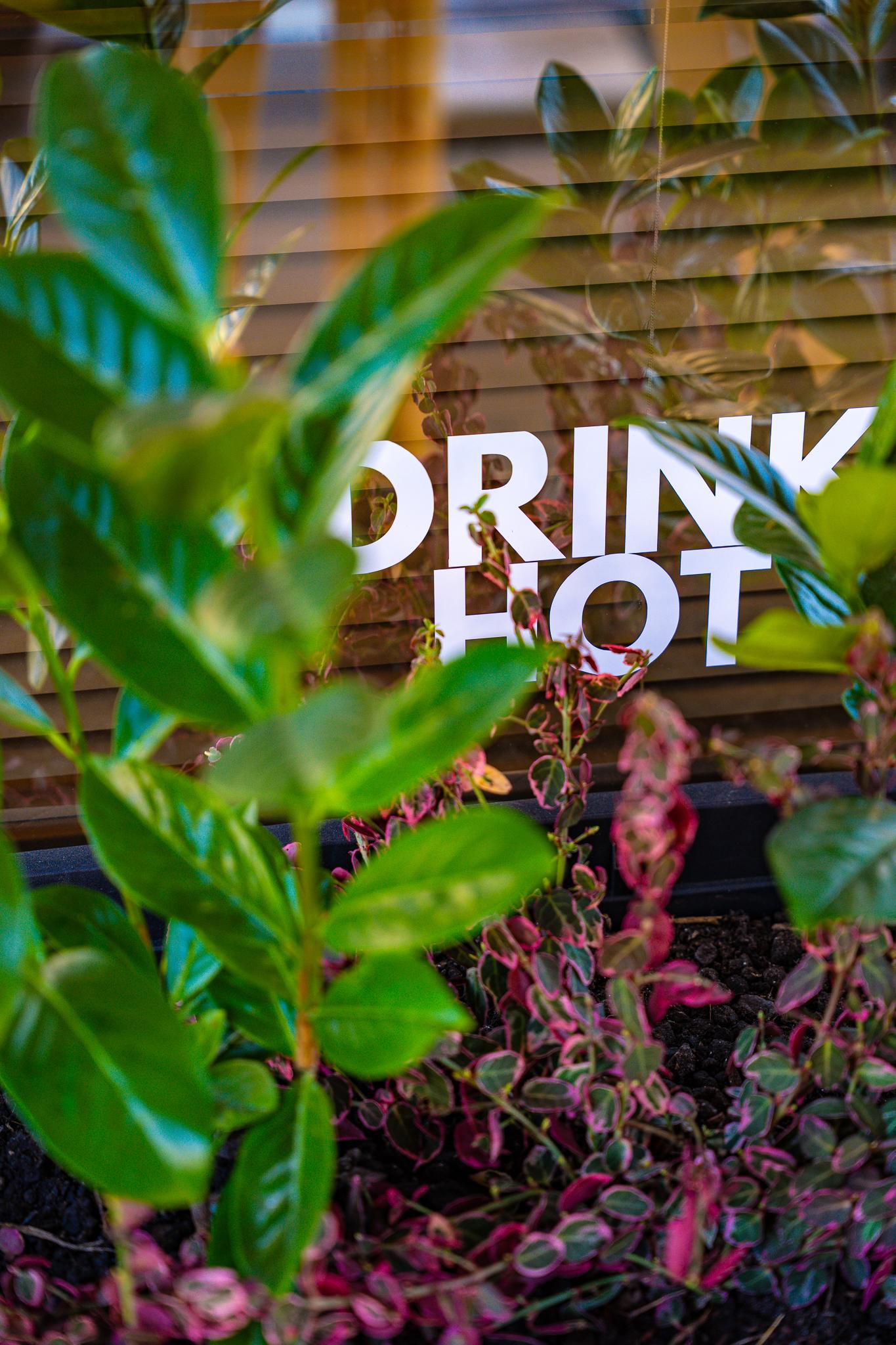 Drink Hot